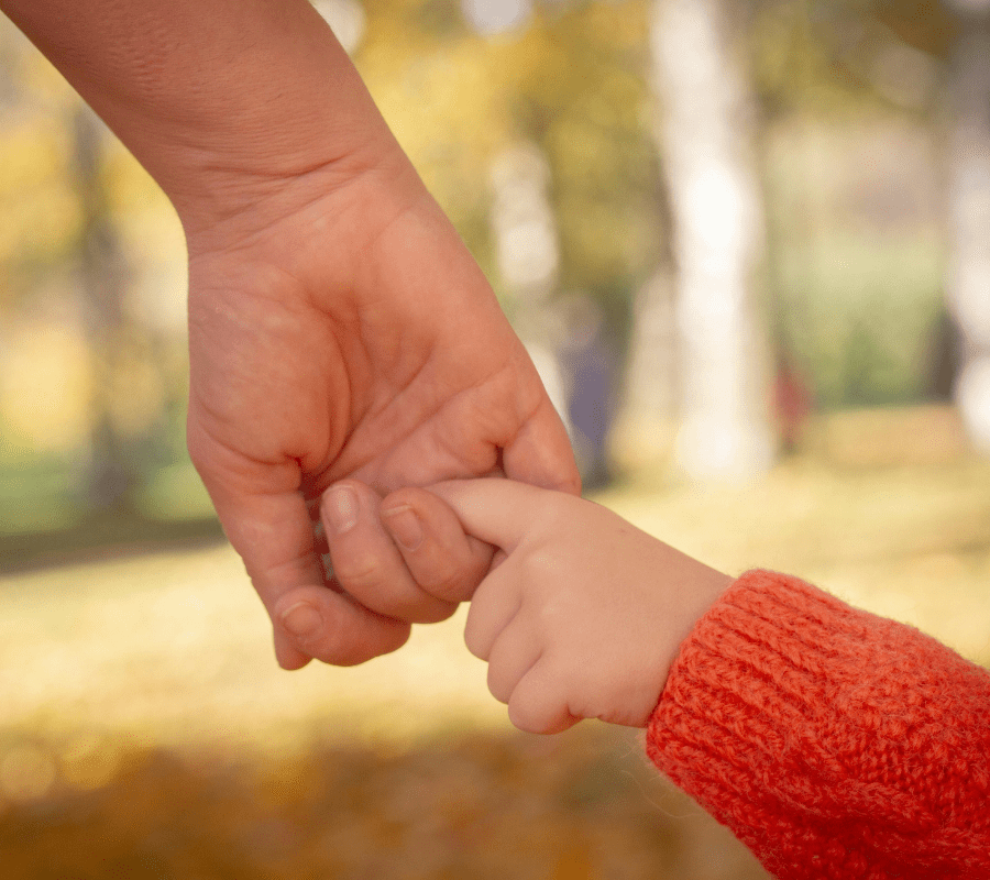 Family Court and Child Support Resources