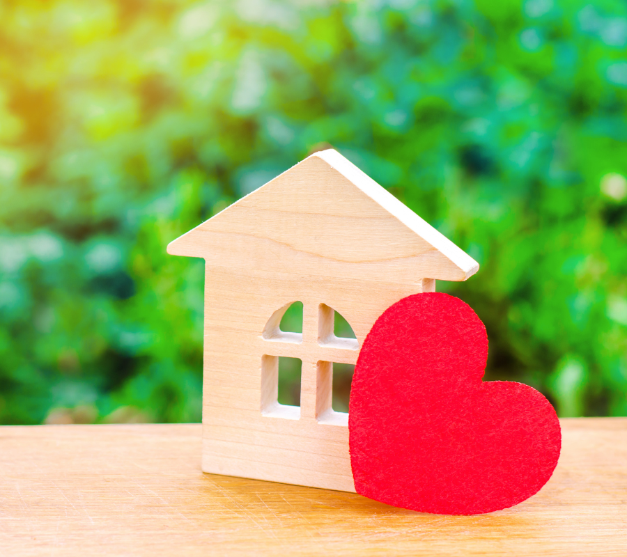 shelter assistance